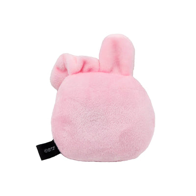 BT21 Plush Face Magnet Blind Box