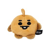 BT21 Plush Face Magnet Blind Box