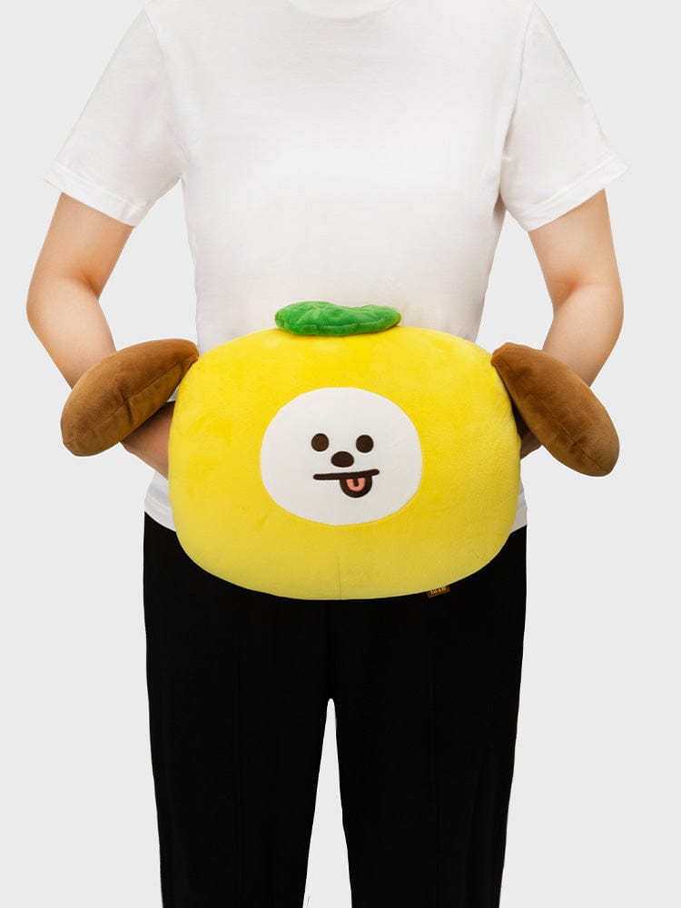 BT21 CHEWY CHEWY CHIMMY Napping Pillow Cushion