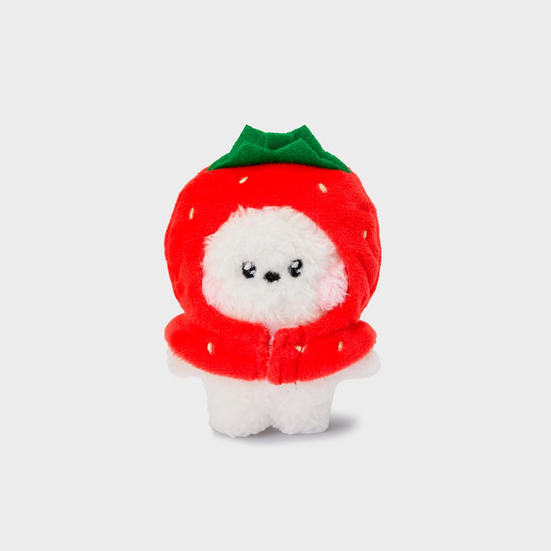 BT21 RJ mini minini Fruits Doll