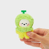 BT21 CHIMMY mini minini Fruits Doll