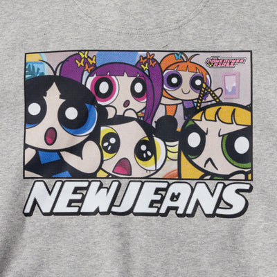 THE POWERPUFF GIRLS X NJ Full Zip Hooded Sweatshirt (Melange)