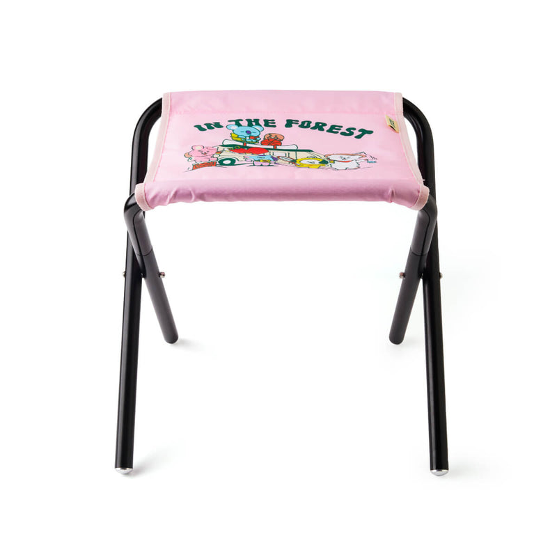 BT21 Picnic Foldable Chair